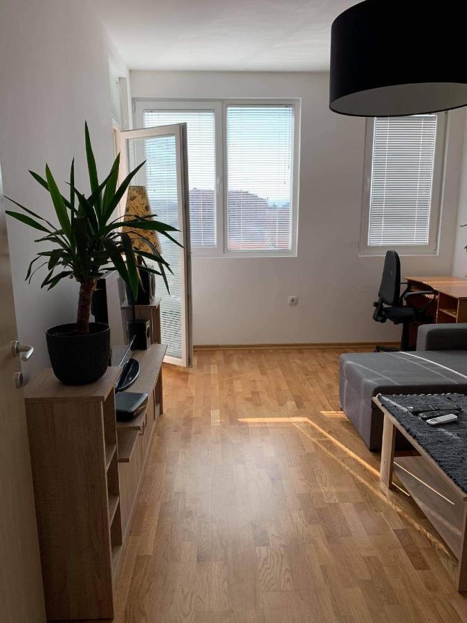 Apartman Aleksic Ni Buitenkant foto