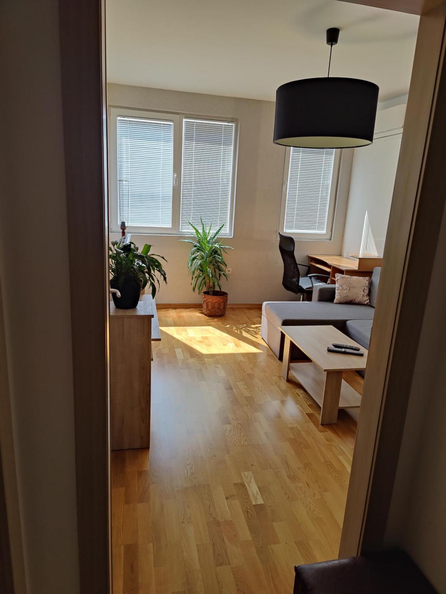 Apartman Aleksic Ni Buitenkant foto